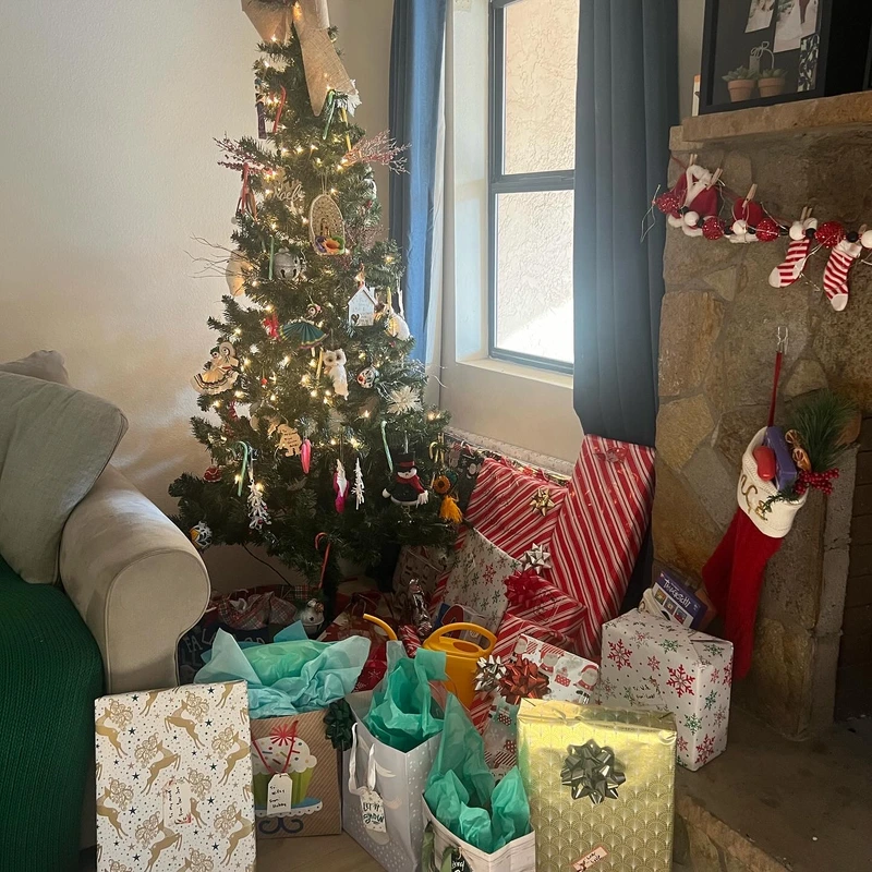 Our Christmas tree