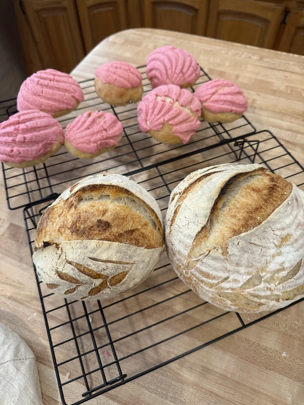 A batch of homemade conchas