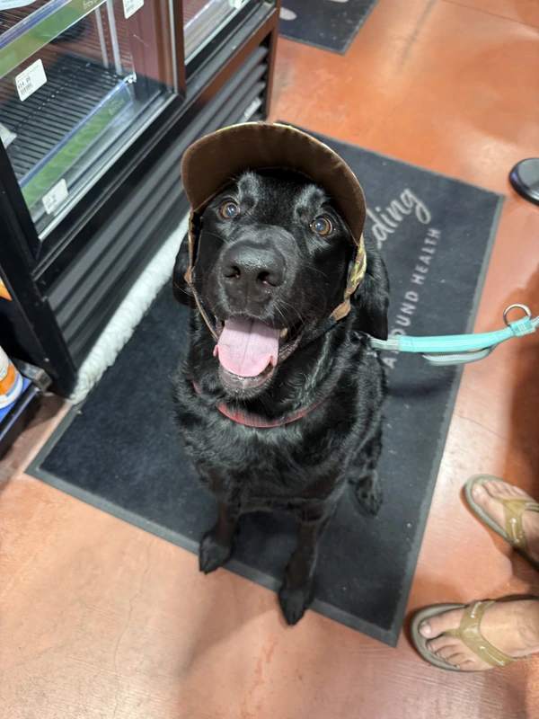 Noodles trying on a hat