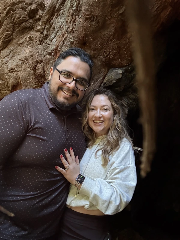 Exploring a hollow tree