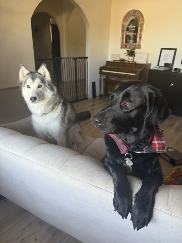 Sharing the sofa