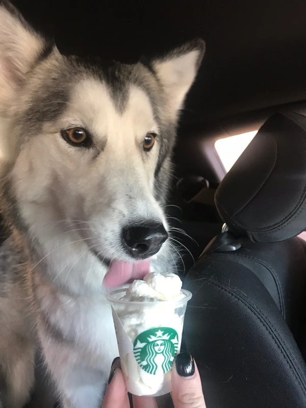 A little treat for Nala